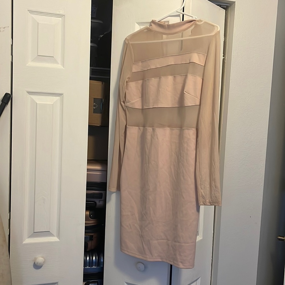 Baby pink/mauve/taupe Mesh.Long sleeve sheer dress.Size L.Never worn